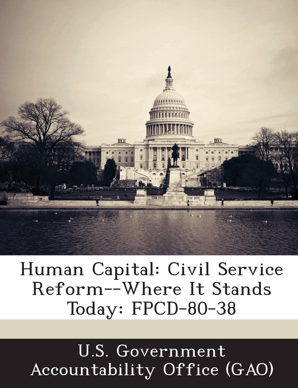 Human Capital: Civil Service Reform--Where It Stands Today: Fpcd-80-38 Politics & History