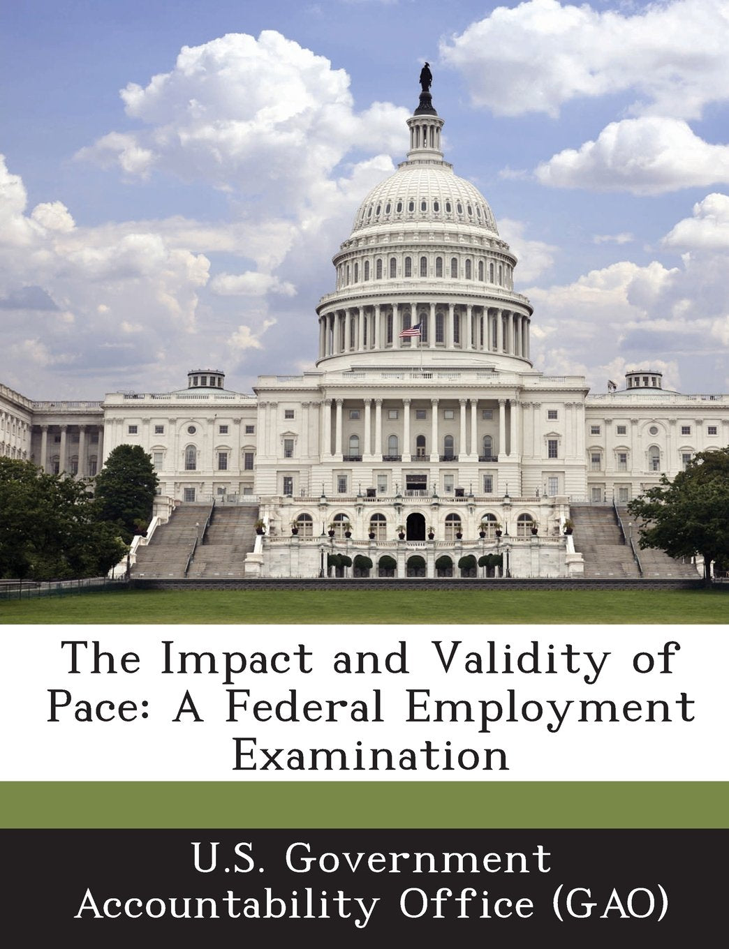 The Impact and Validity of Pace: A Federal Employment Examination Politics & History