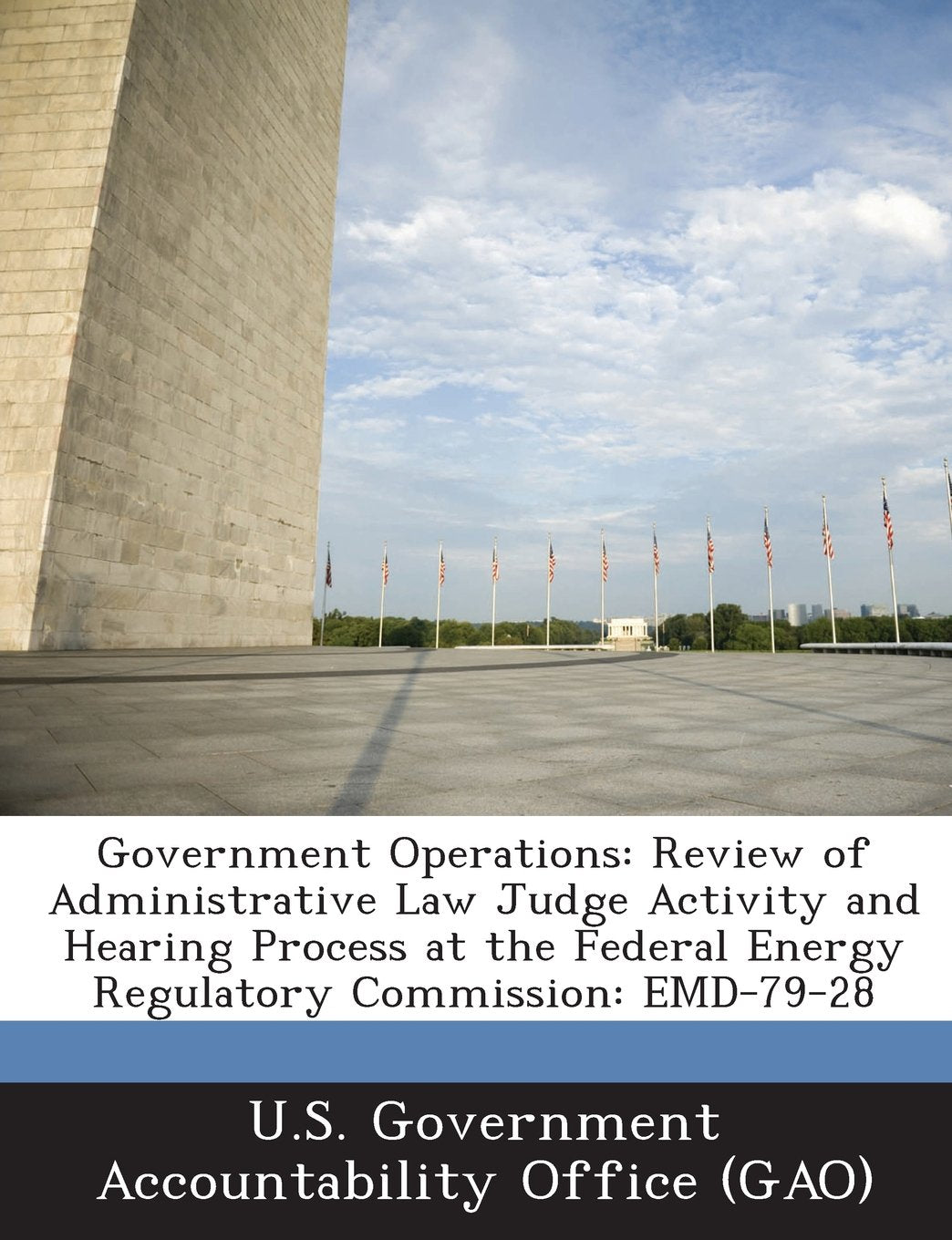 Government Operations: Review of Administrative Law Judge Activity and Hearing Process at the Federal Energy Regulatory Commission: Emd-79-28 Politics & History