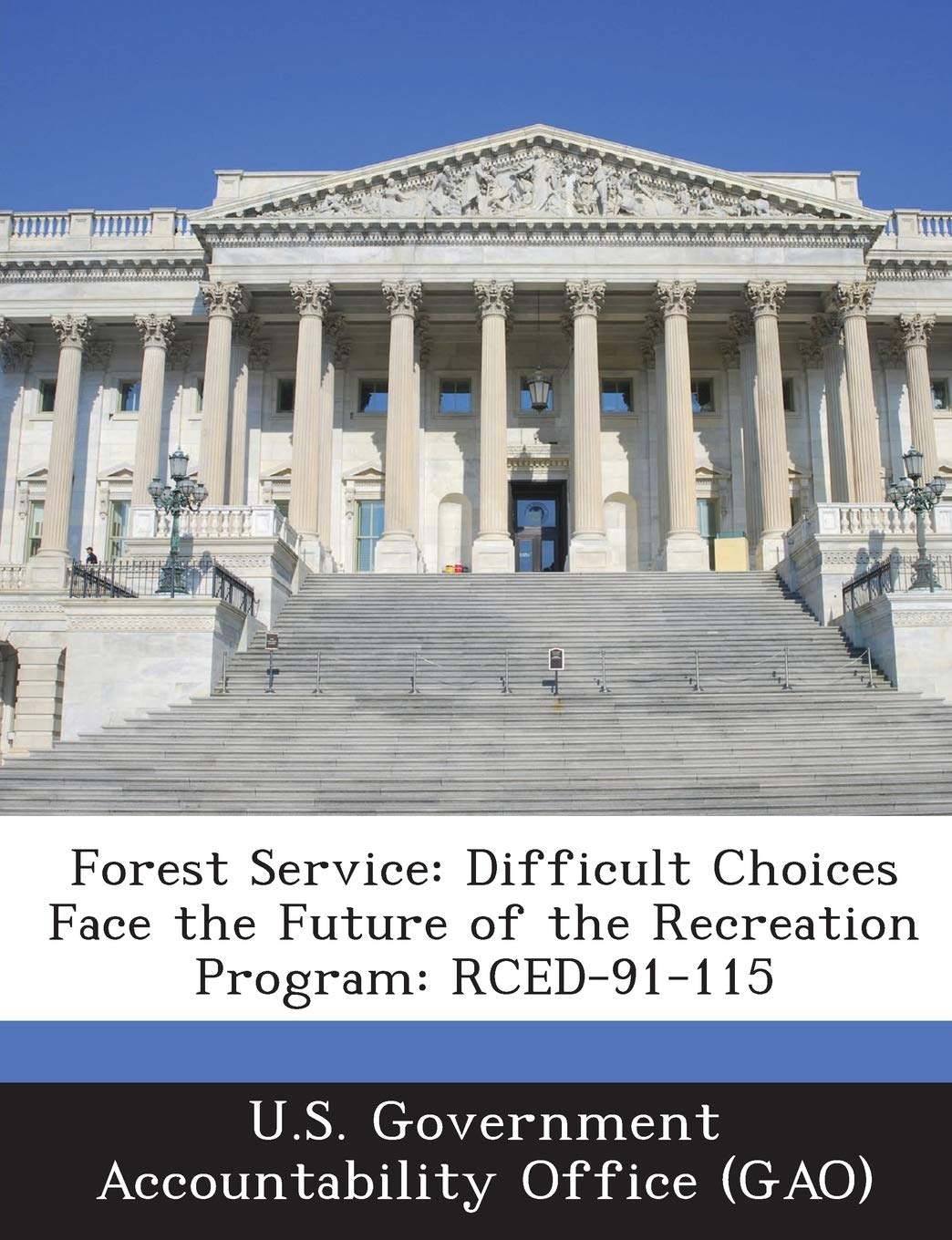 Forest Service: Difficult Choices Face the Future of the Recreation Program: Rced-91-115 Politics & History