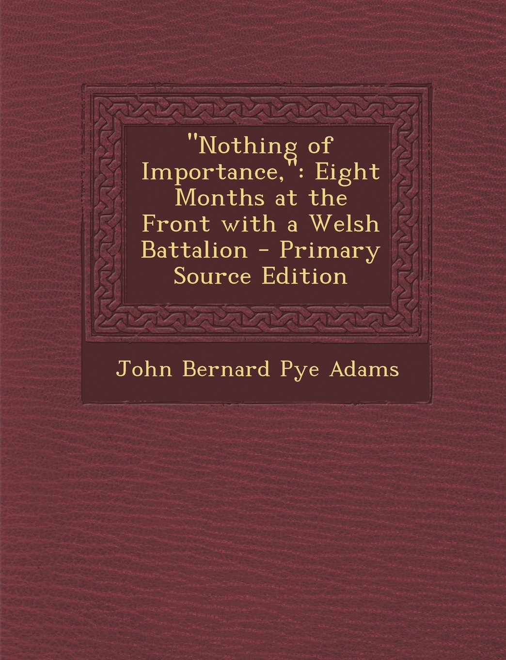 "Nothing of Importance,": Eight Months at the Front with a Welsh Battalion Politics & History