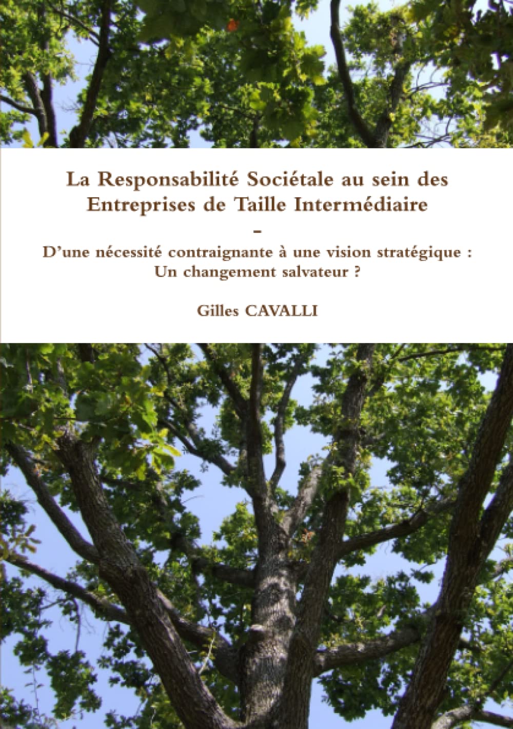 La responsabilité sociétale au sein des entreprises de taille intermédiaire Business, Finance & Career