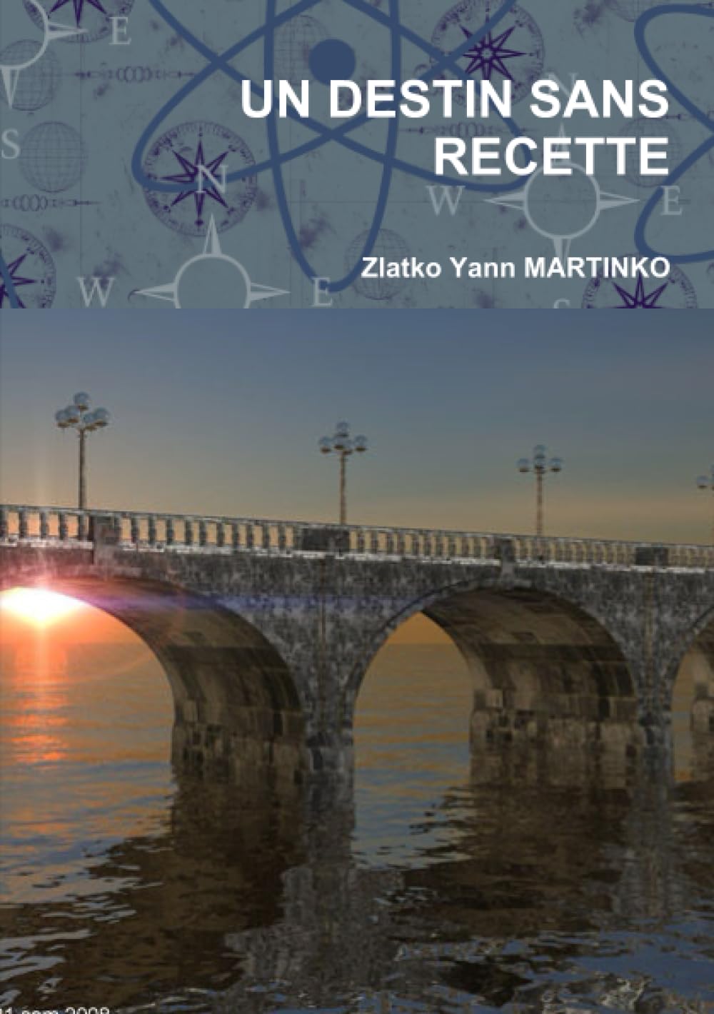 UN DESTIN SANS RECETTE Contemporary literature