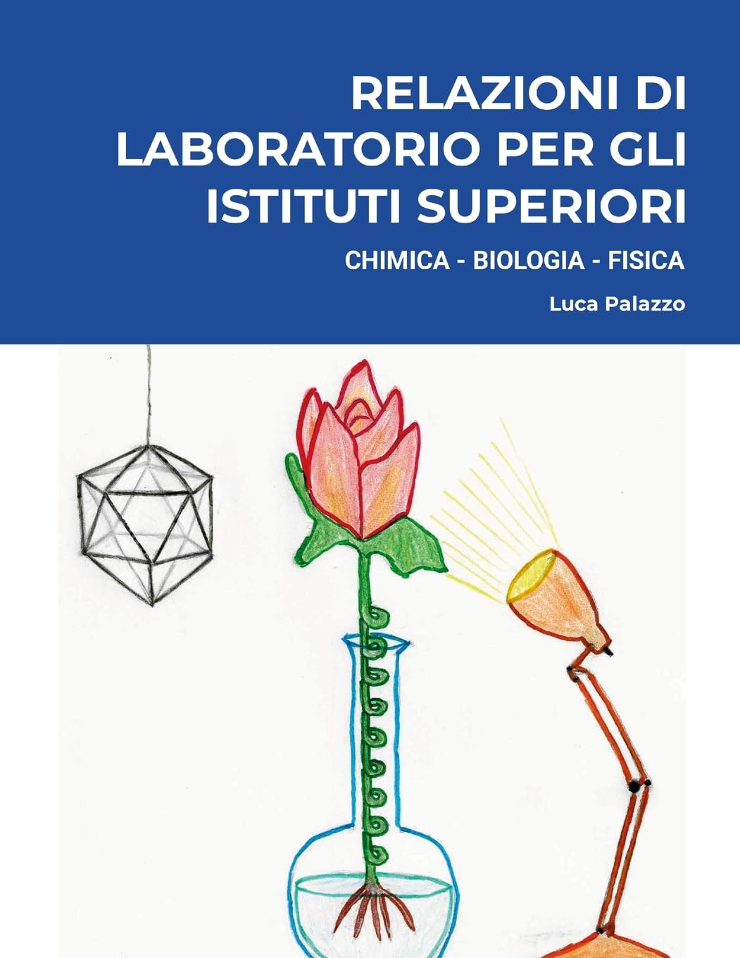 Relazioni di Laboratorio per gli Istituti Superiori book
