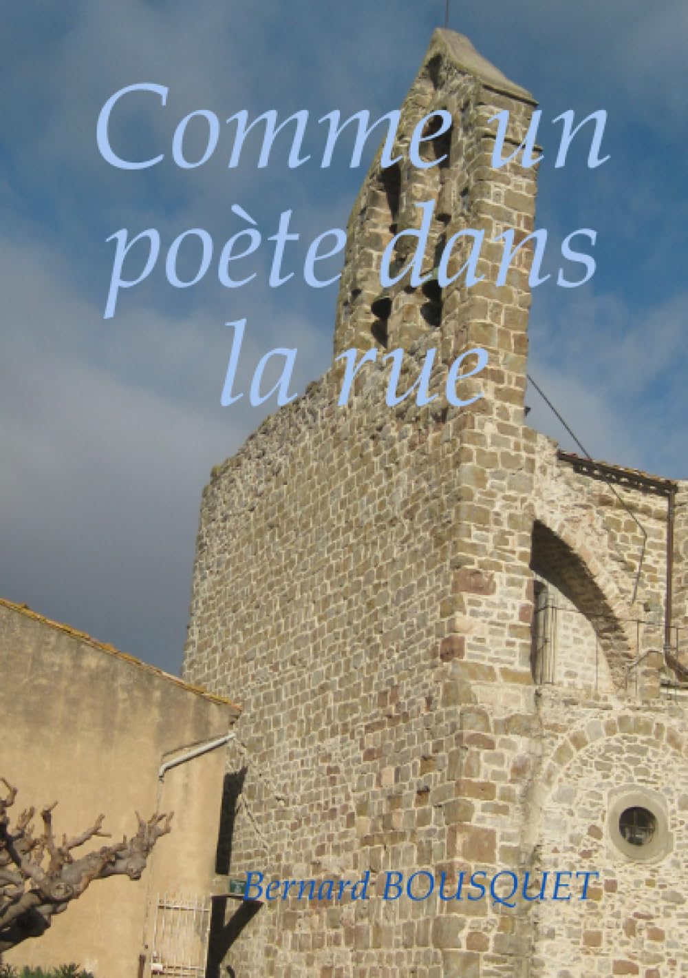 Comme un poète dans la rue book