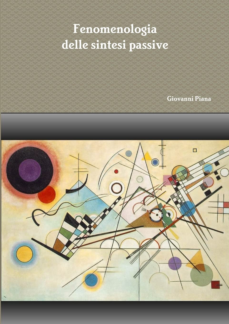 Fenomenologia delle sintesi passive book