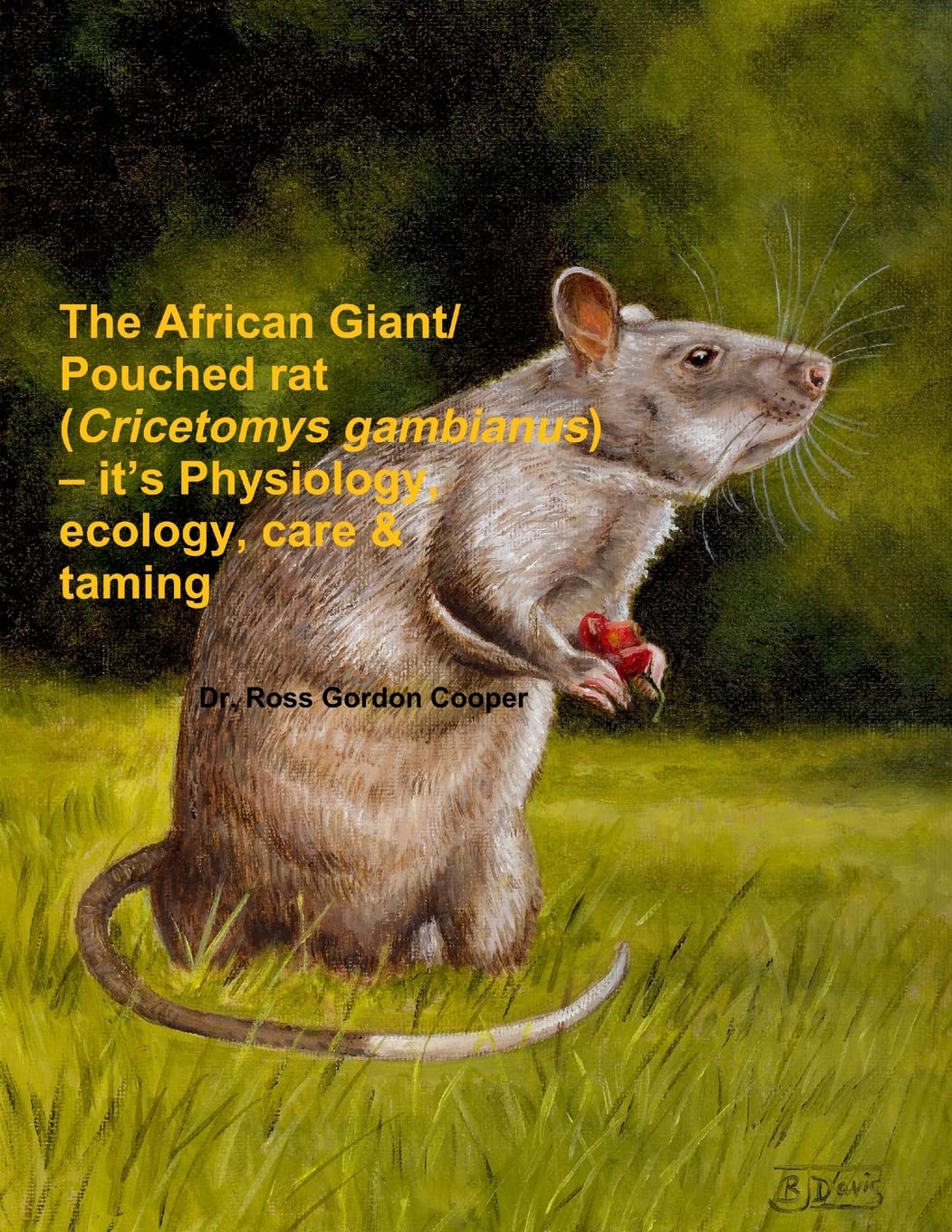 The African Giant/Pouched rat (Cricetomys gambianus) – it’s Physiology, ecology, care & taming Pets