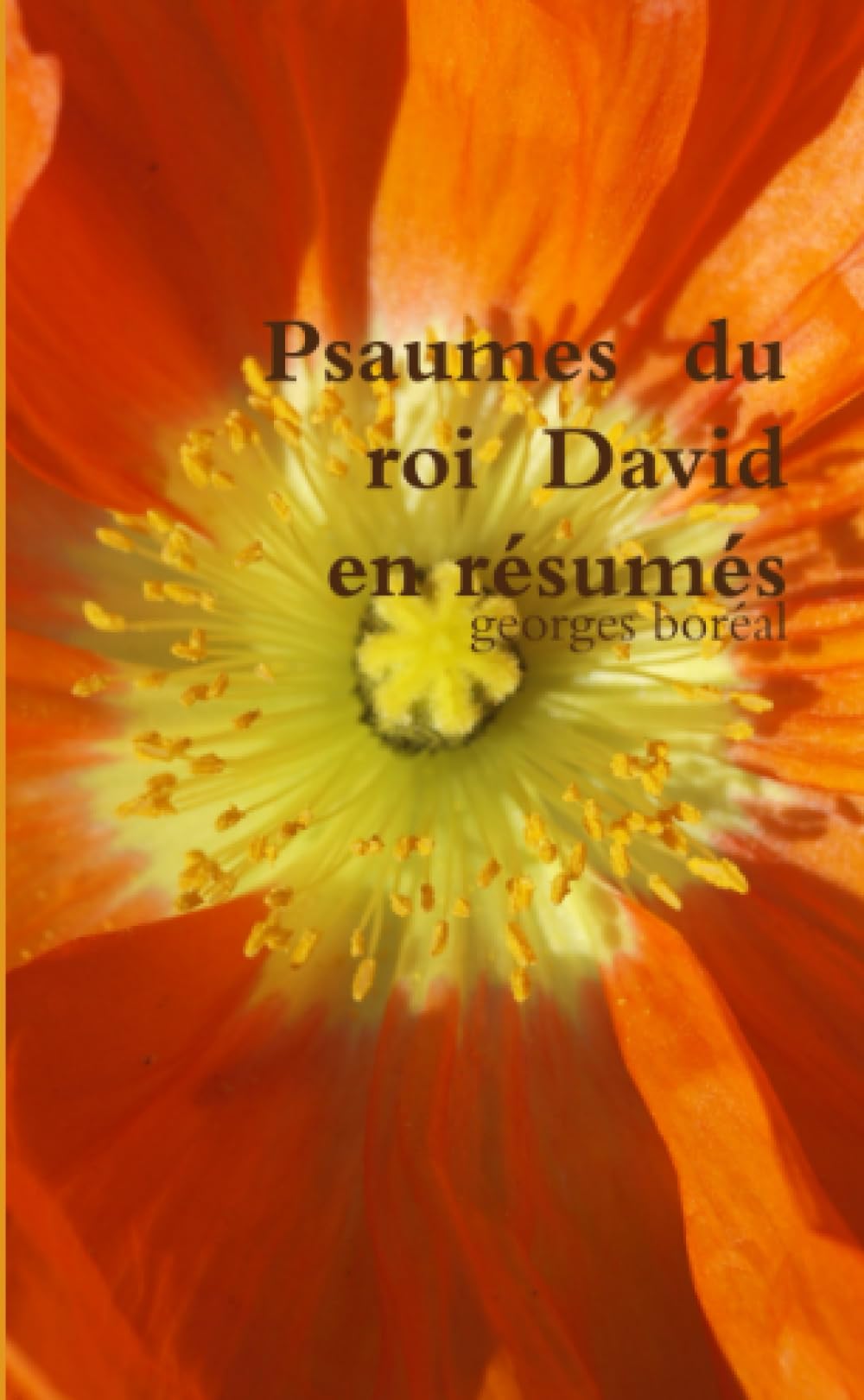 Psaumes du roi David en résumés book