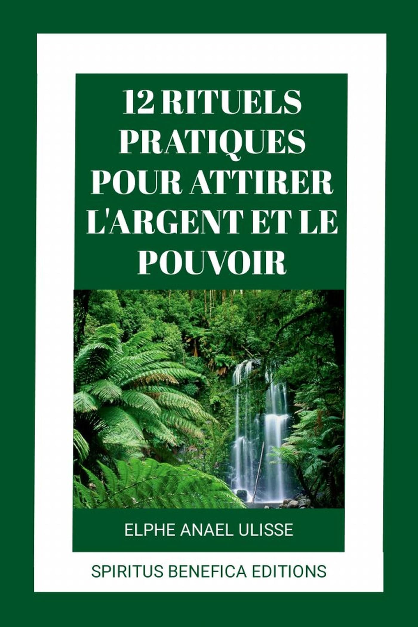 12 RITUELS PRATIQUES POUR ATTIRER L'ARGENT ET LE POUVOIR book