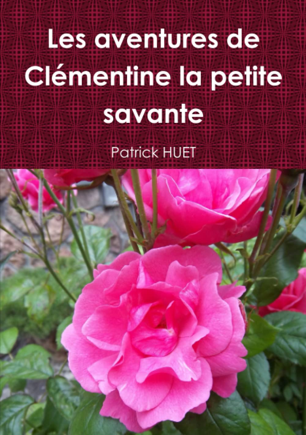 Les aventures de Clémentine la petite savante book