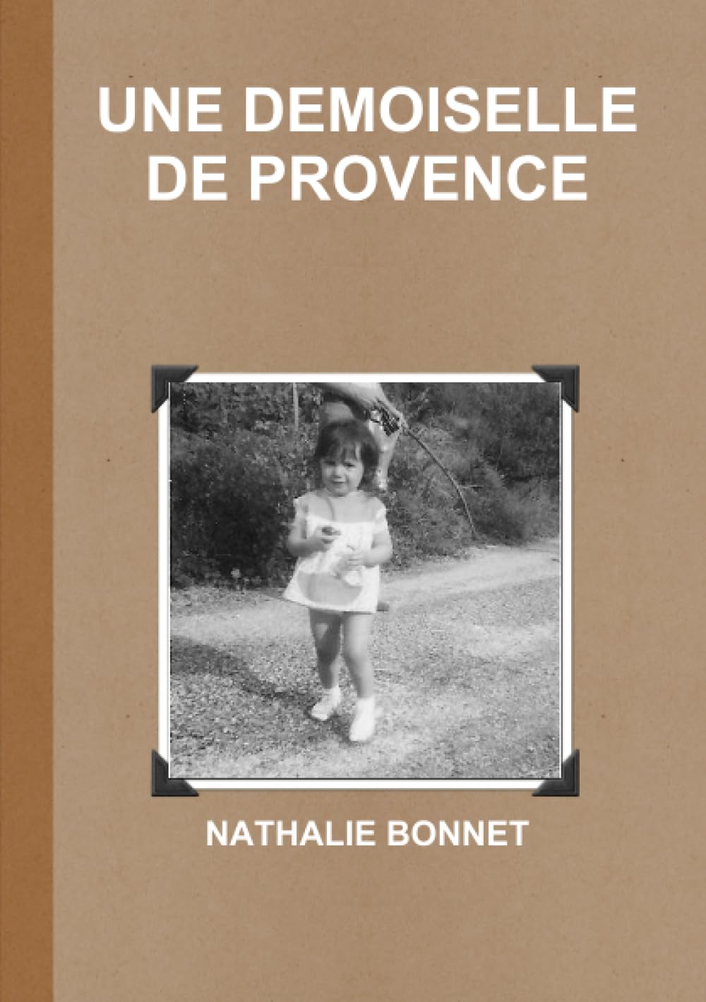 UNE DEMOISELLE DE PROVENCE book