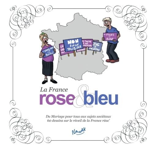 La France rose et bleu book