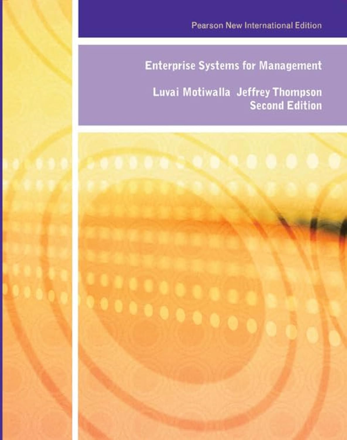 Enterprise Systems for Management: Pearson New International Edition Business, Finance & Career
