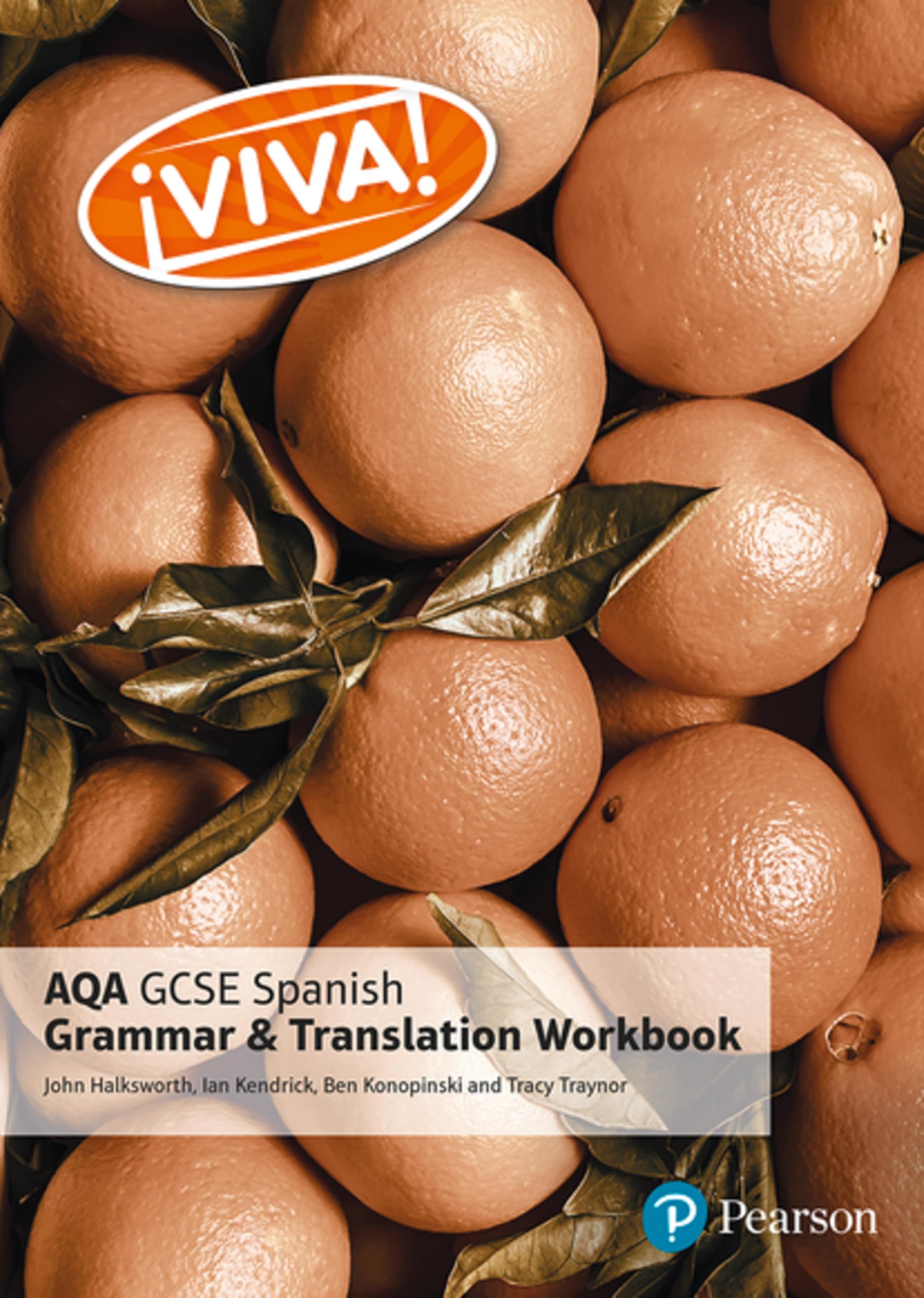 Viva! AQA GCSE Spanish Grammar and Translation Workbook Foreign Languages ​​& Dictionaries