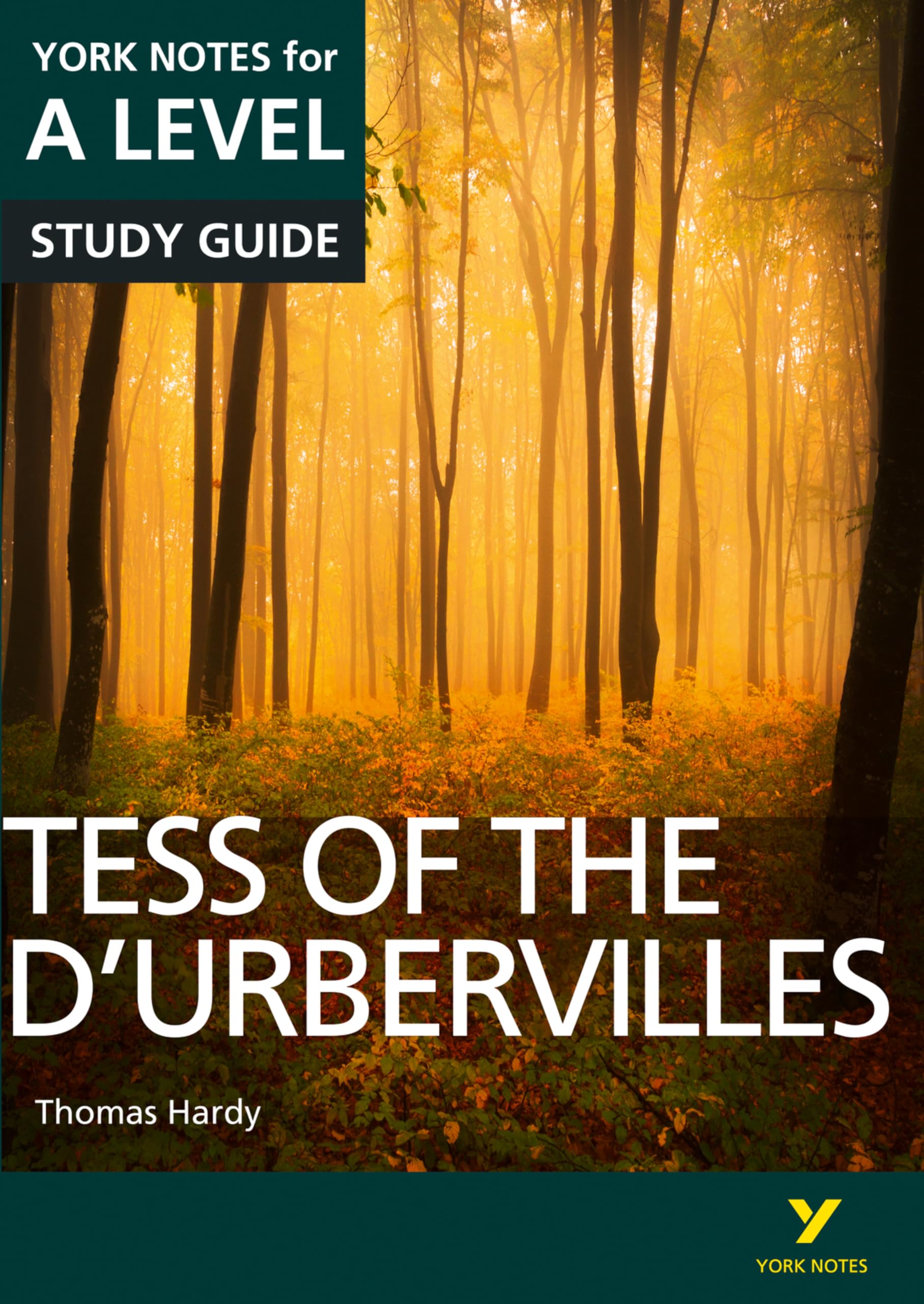 Tess of the D'Urbervilles: York Notes A-level English Literature Study Guide - for 2026, 2027 exams: York Notes Series book