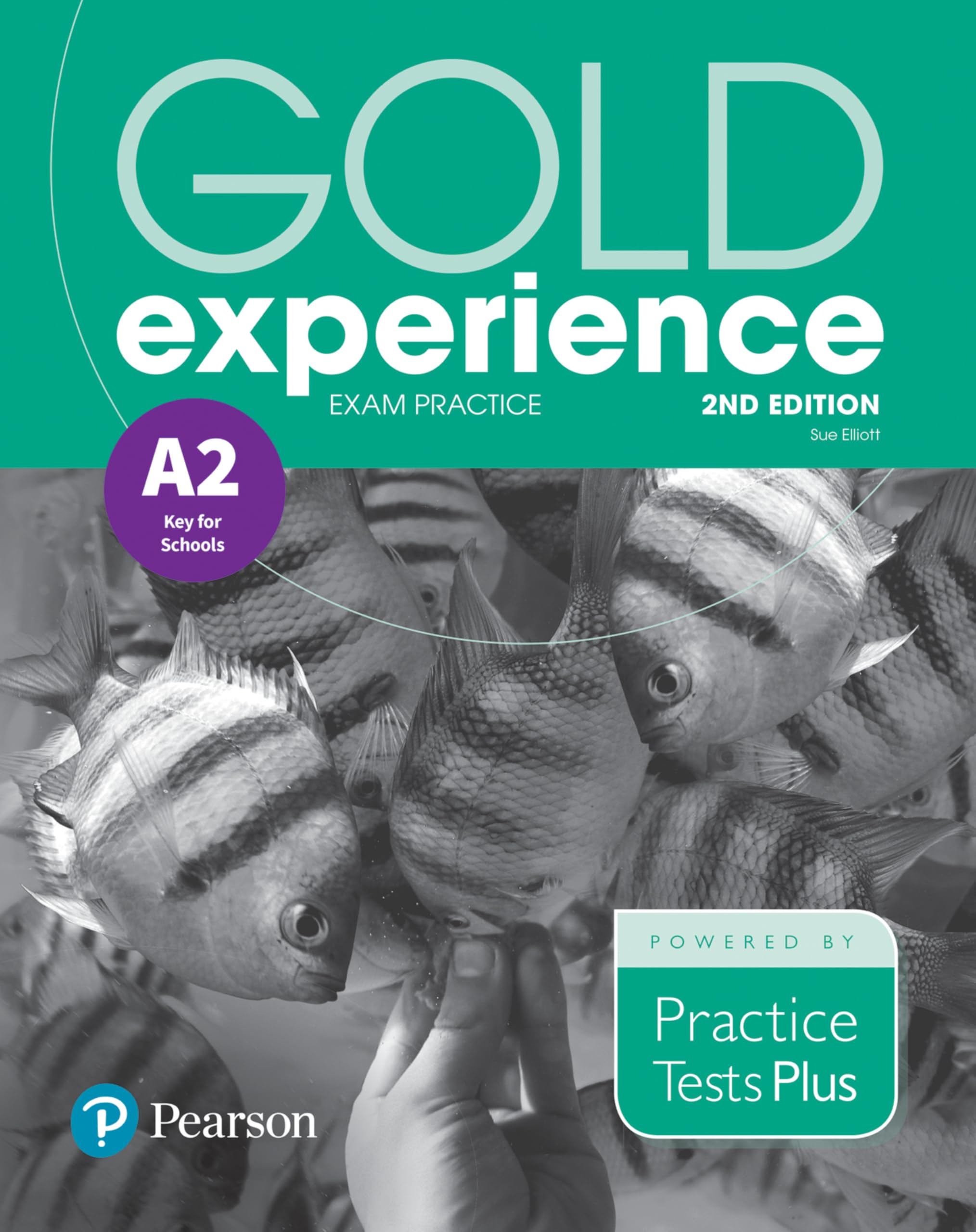 Gold Experience 2nd Edition Exam Practice: Cambridge English Key for Schools (A2) book