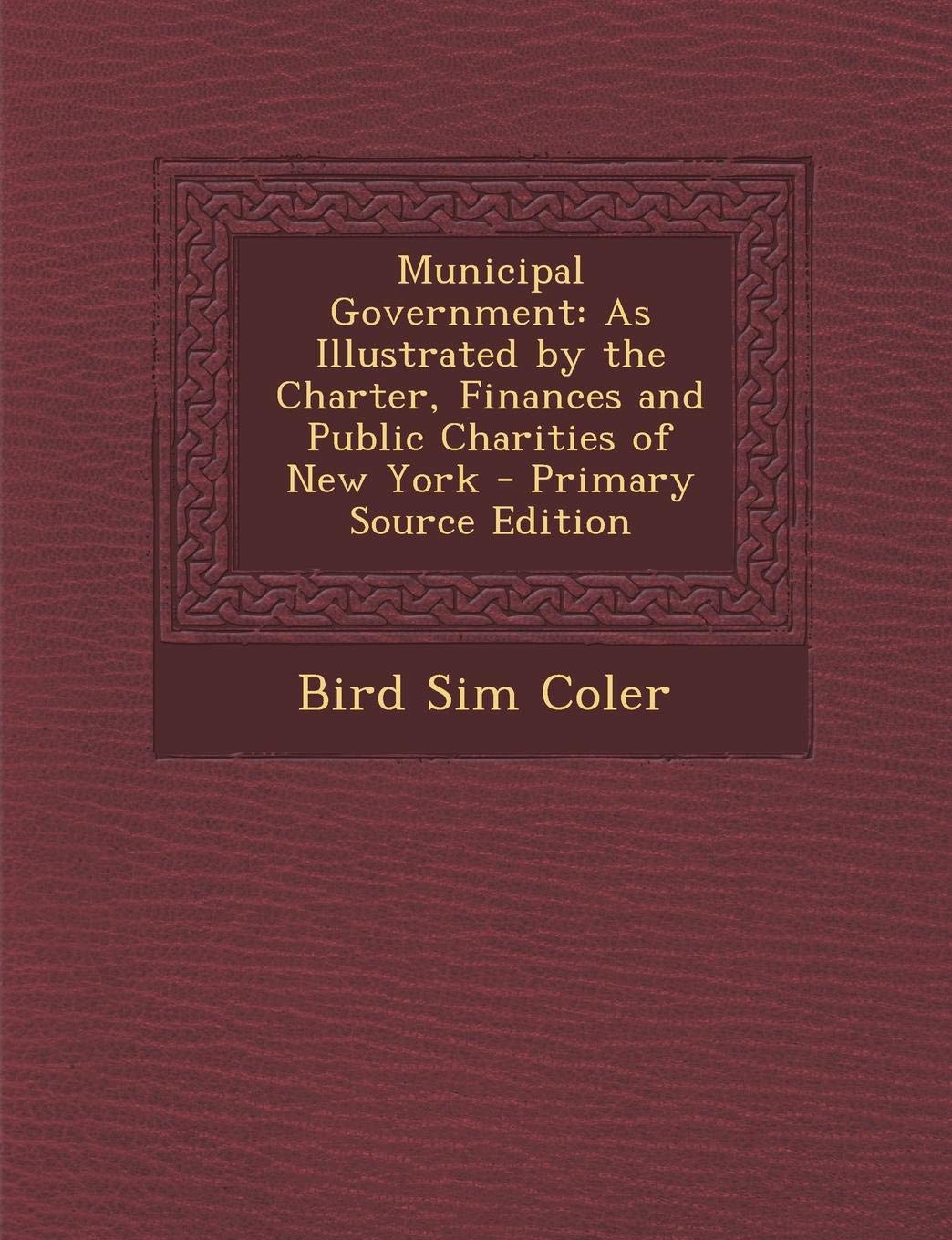 Municipal Government: As Illustrated by the Charter, Finances and Public Charities of New York - Primary Source Edition Politics & History