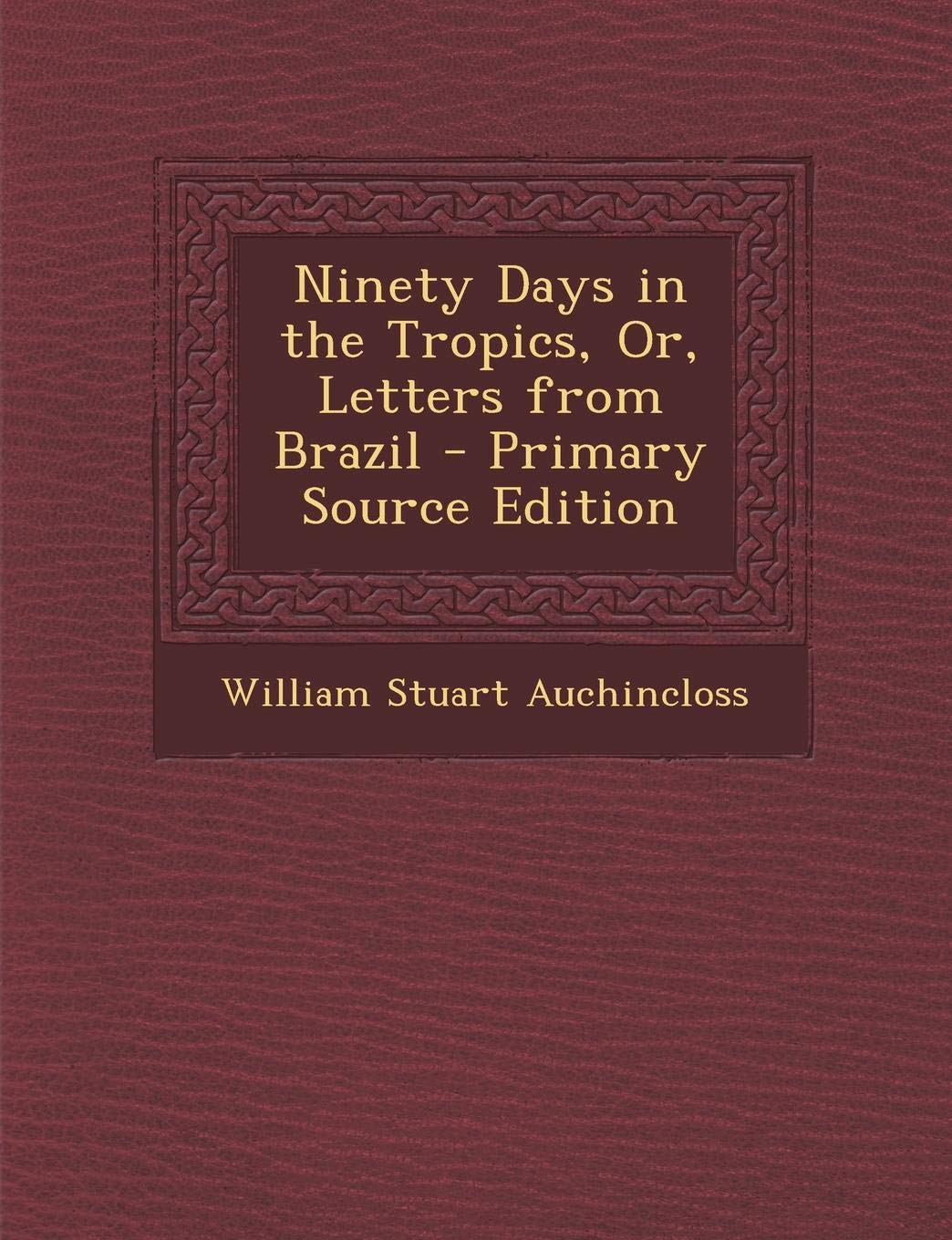 Ninety Days in the Tropics, Or, Letters from Brazil - Primary Source Edition Politics & History