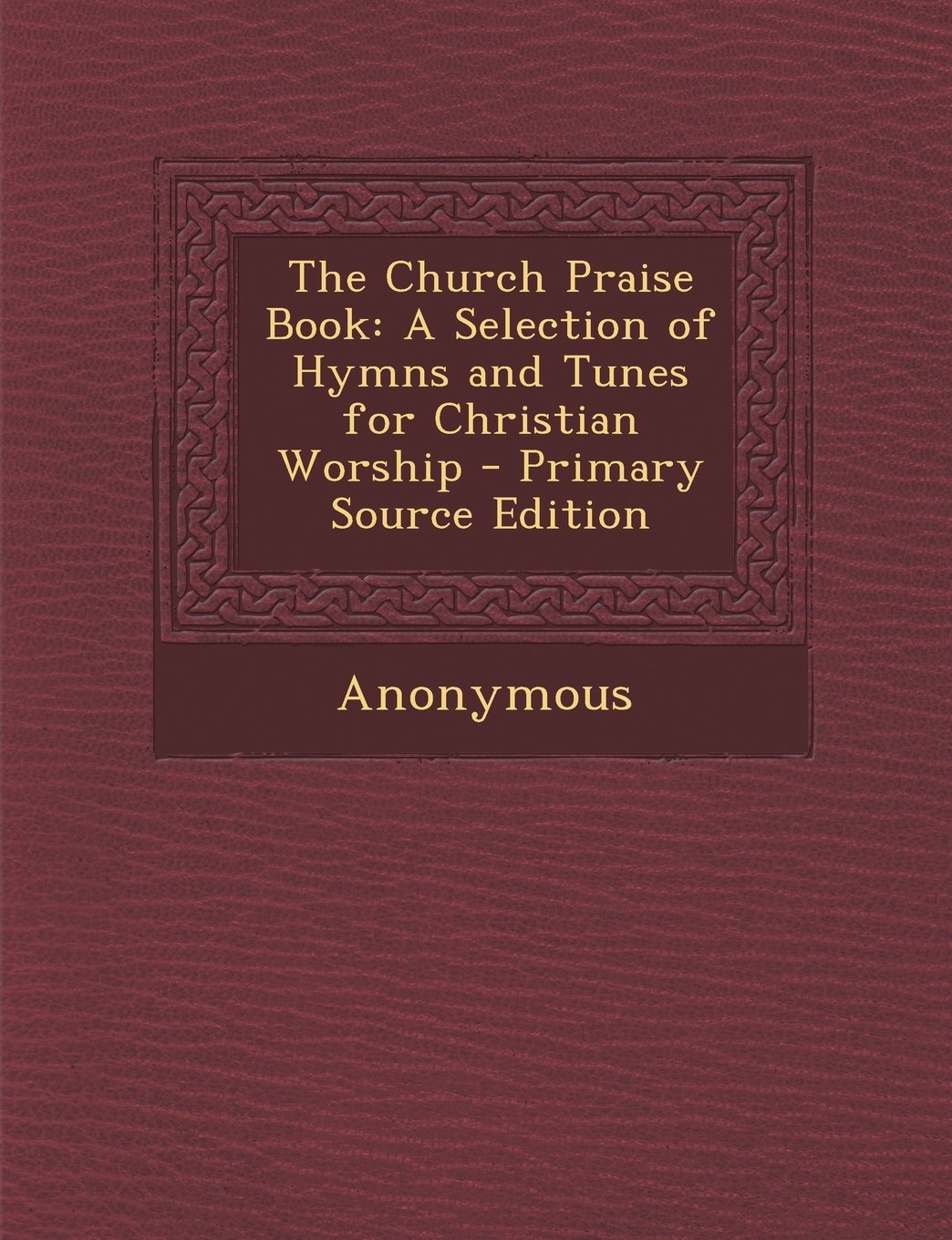The Church Praise Book: A Selection of Hymns and Tunes for Christian Worship - Primary Source Edition Arts & Music