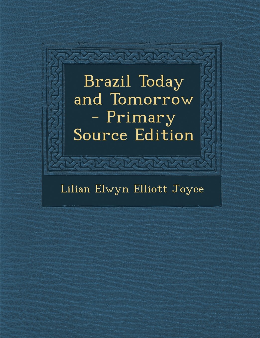 Brazil Today and Tomorrow Foreign Languages ​​& Dictionaries