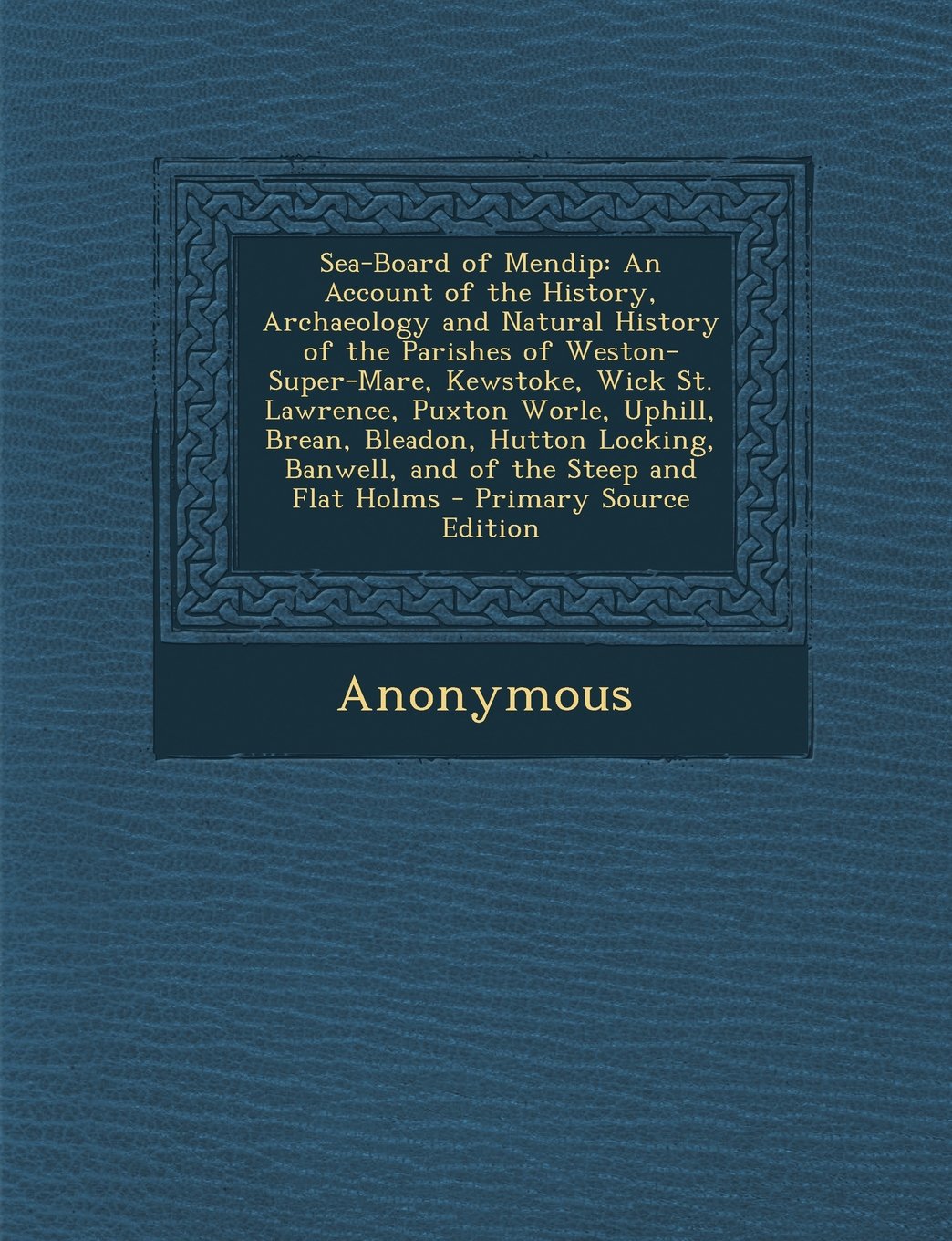 Sea-Board of Mendip: An Account of the History, Archaeology and Natural History of the Parishes of Weston-Super-Mare, Kewstoke, Wick St. Lawrence, ... Banwell, and of the Steep and Flat Holms Politics & History