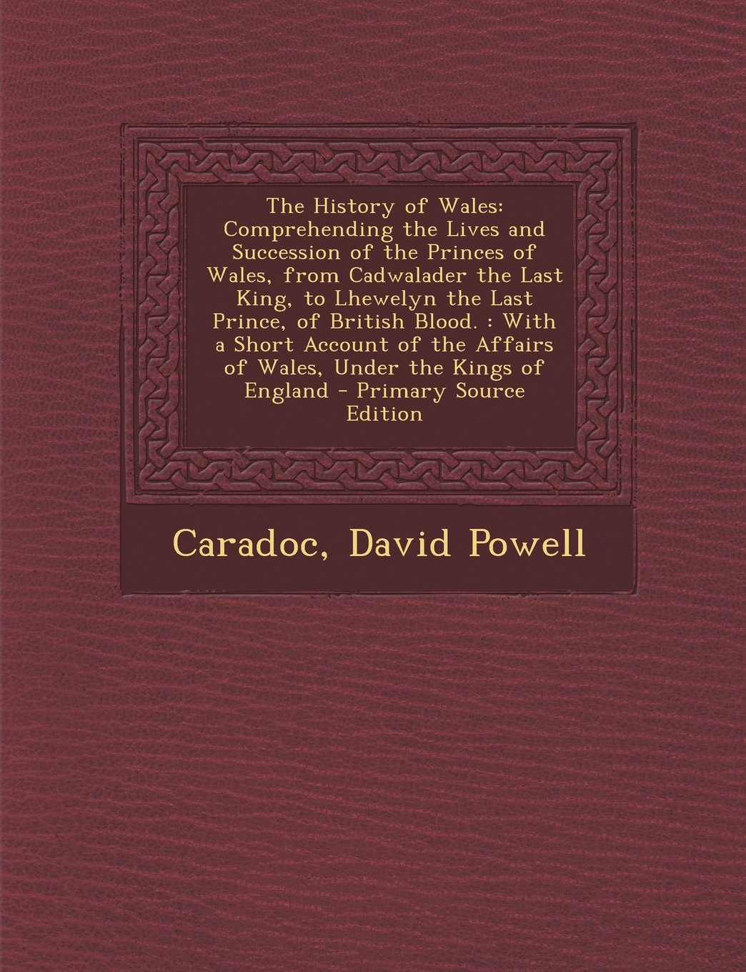 The History of Wales: Comprehending the Lives and Succession of the Princes of Wales, from Cadwalader the Last King, to Lhewelyn the Last Prince, of ... Affairs of Wales, Under the Kings of England Politics & History