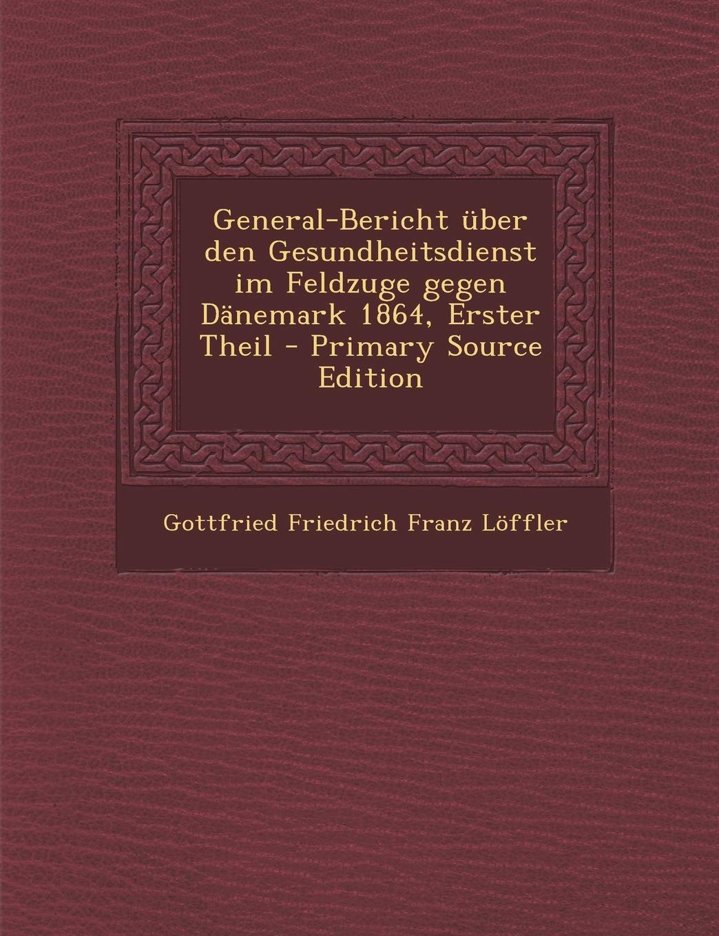 General-Bericht Uber Den Gesundheitsdienst Im Feldzuge Gegen Danemark 1864, Erster Theil - Primary Source Edition Politics & History