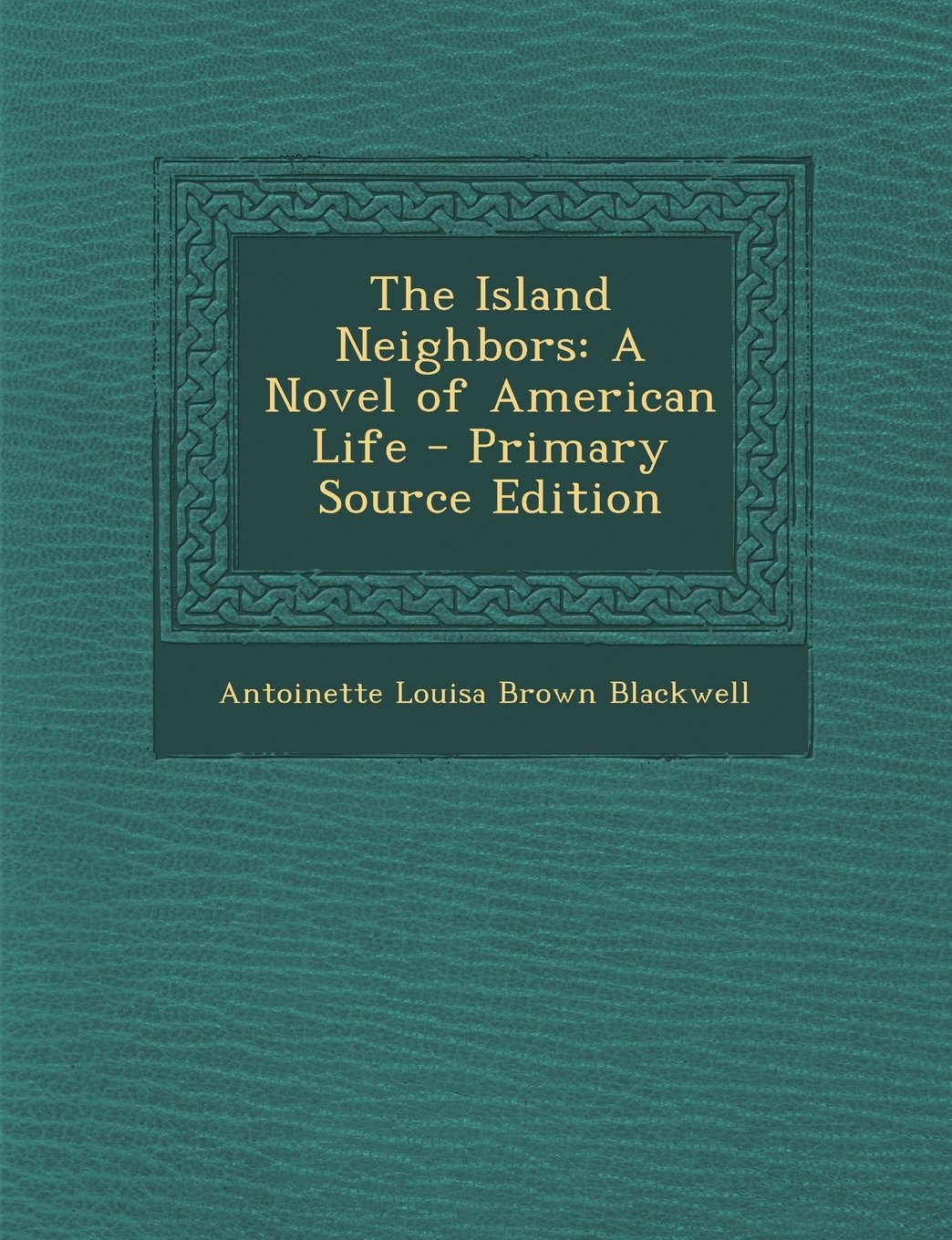 The Island Neighbors: A Novel of American Life Contemporary literature Books