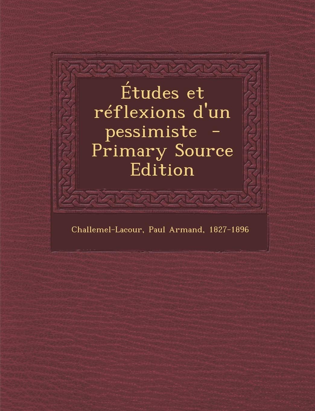 Etudes Et Reflexions D'Un Pessimiste - Primary Source Edition Politics & History
