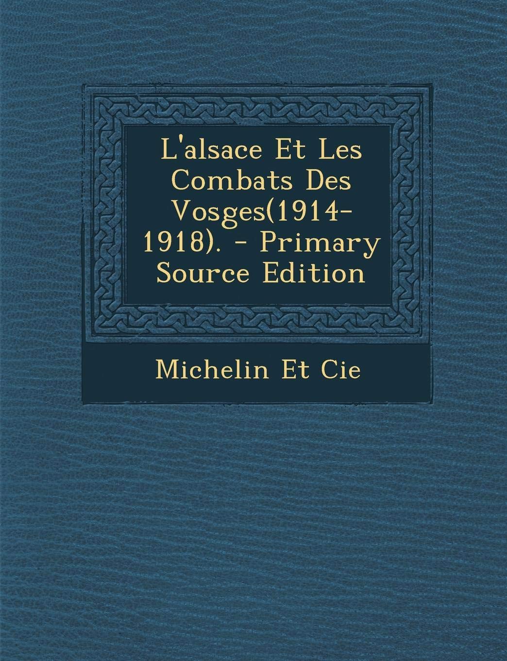 L'Alsace Et Les Combats Des Vosges(1914-1918). - Primary Source Edition Politics & History