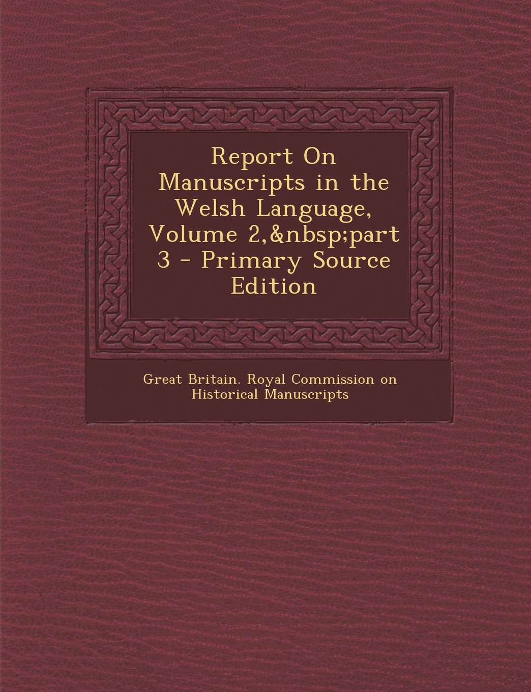 Report On Manuscripts in the Welsh Language, Volume 2, part 3 Foreign Languages ​​& Dictionaries