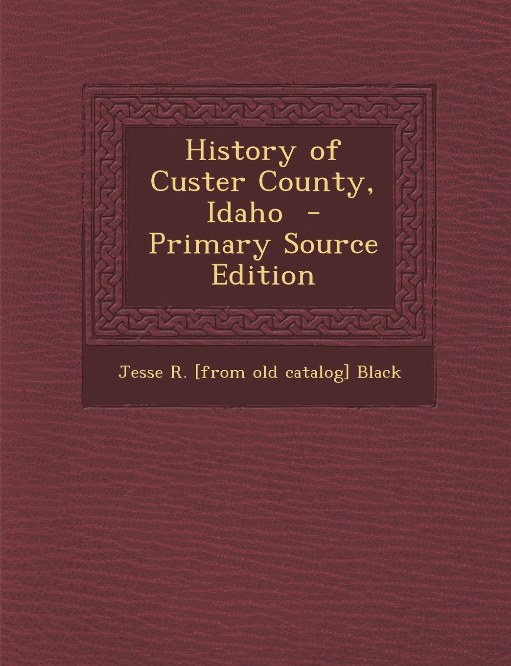 History of Custer County, Idaho Politics & History