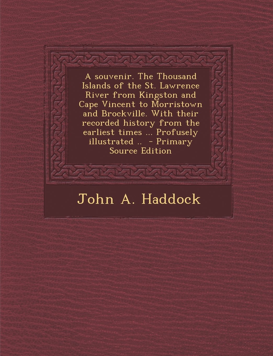 A souvenir. The Thousand Islands of the St. Lawrence River from Kingston and Cape Vincent to Morristown and Brockville. With their recorded history from the earliest times ... Profusely illustrated .. Politics & History