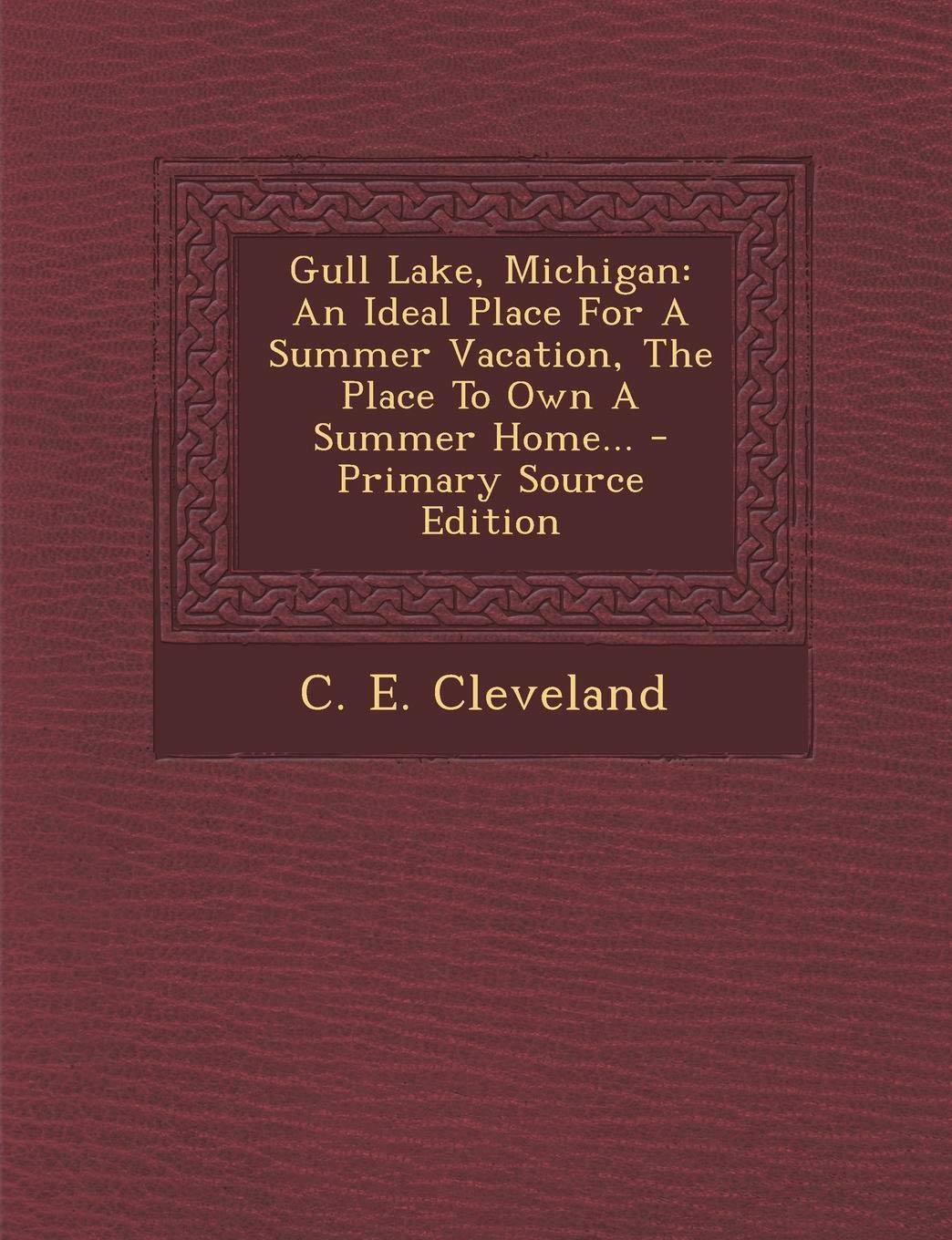 Gull Lake, Michigan: An Ideal Place for a Summer Vacation, the Place to Own a Summer Home... Politics & History