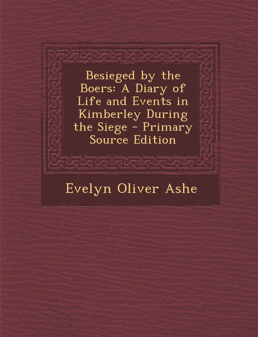 Besieged by the Boers: A Diary of Life and Events in Kimberley During the Siege Politics & History
