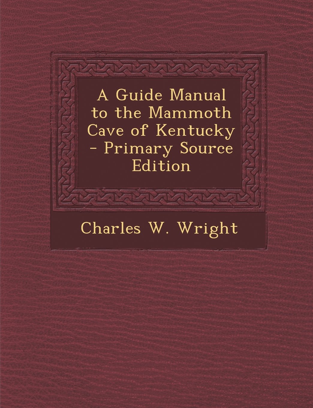 A Guide Manual to the Mammoth Cave of Kentucky - Primary Source Edition Novels & Short Stories