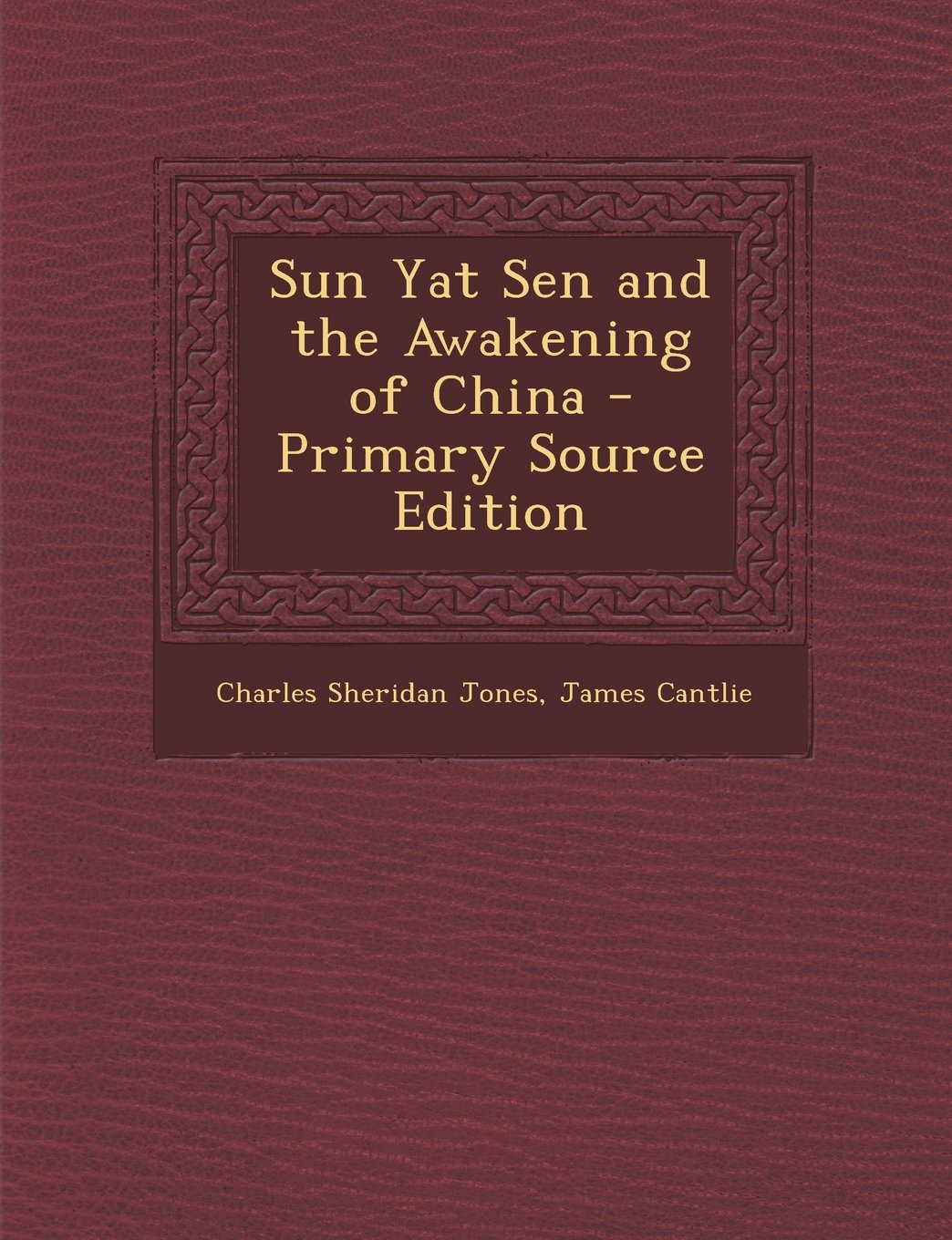 Sun Yat Sen and the Awakening of China - Primary Source Edition Politics & Society