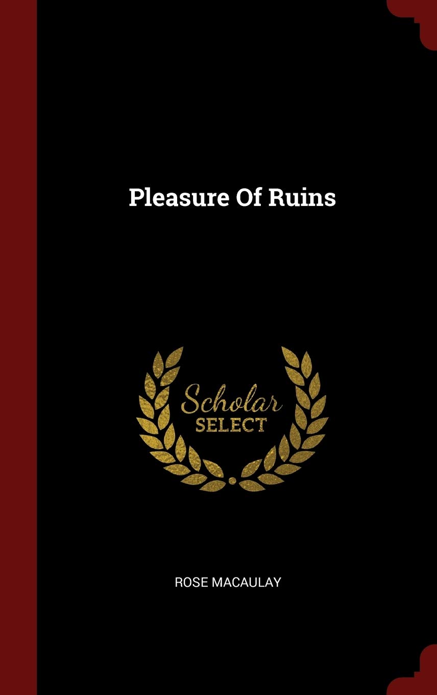 Pleasure of Ruins book