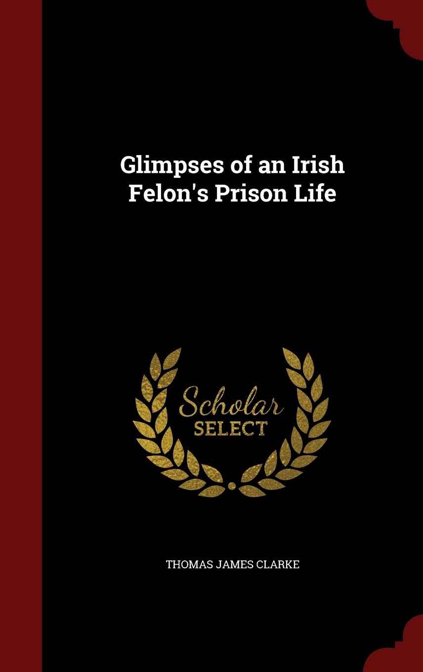 Glimpses of an Irish Felon's Prison Life Politics & History