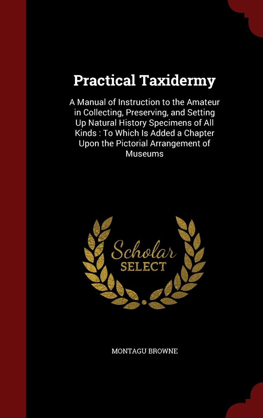 Practical Taxidermy: A Manual of Instruction to the Amateur in Collecting, Preserving, and Setting Up Natural History Specimens of All Kinds: To Which ... Upon the Pictorial Arrangement of Museums Mathematics