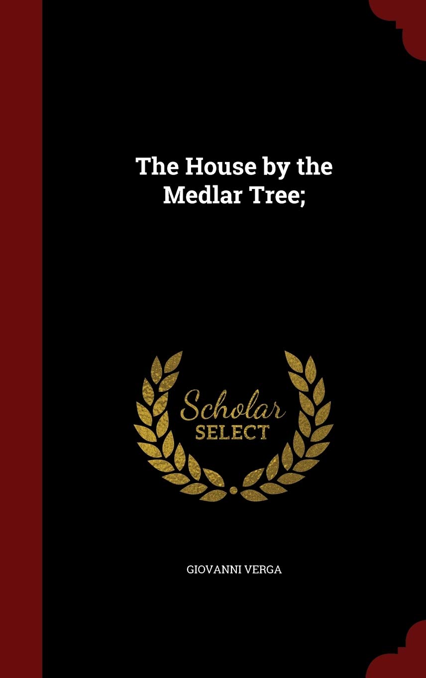 The House by the Medlar Tree; Politics & History