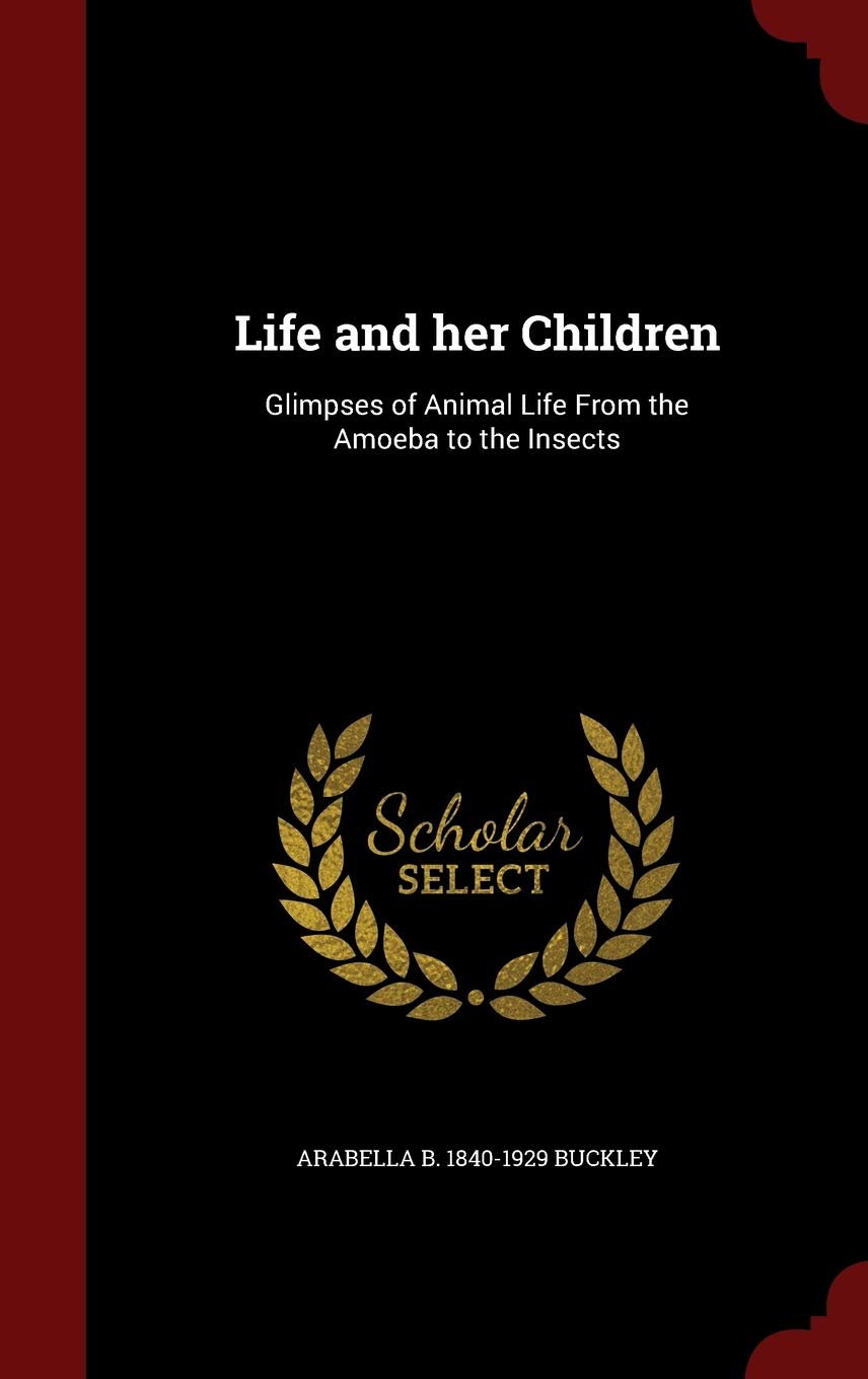 Life and her Children: Glimpses of Animal Life From the Amoeba to the Insects Politics & History