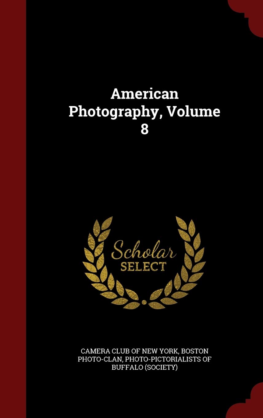 American Photography, Volume 8 Politics & History
