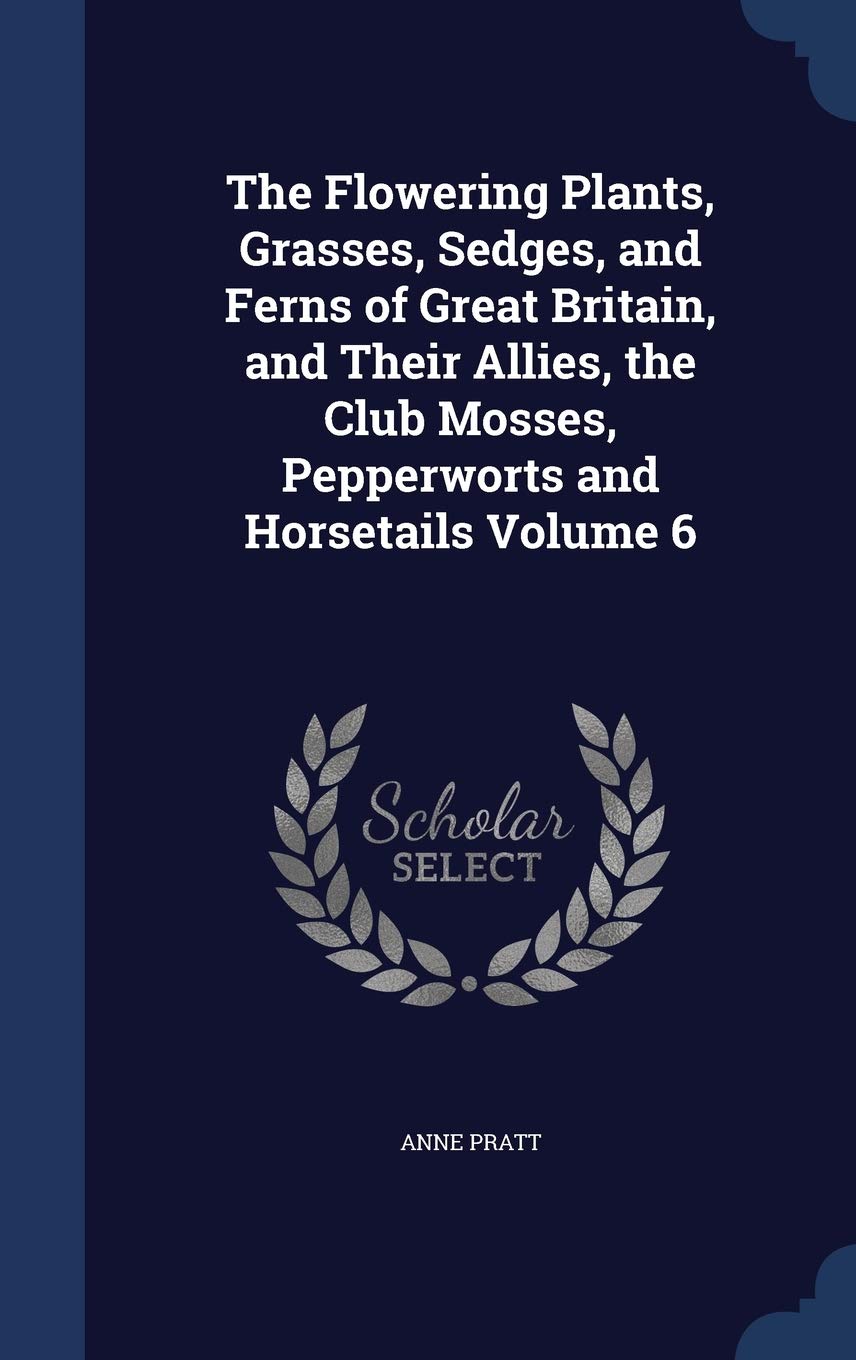 The Flowering Plants, Grasses, Sedges, and Ferns of Great Britain, and Their Allies, the Club Mosses, Pepperworts and Horsetails Volume 6 Contemporary literature Books