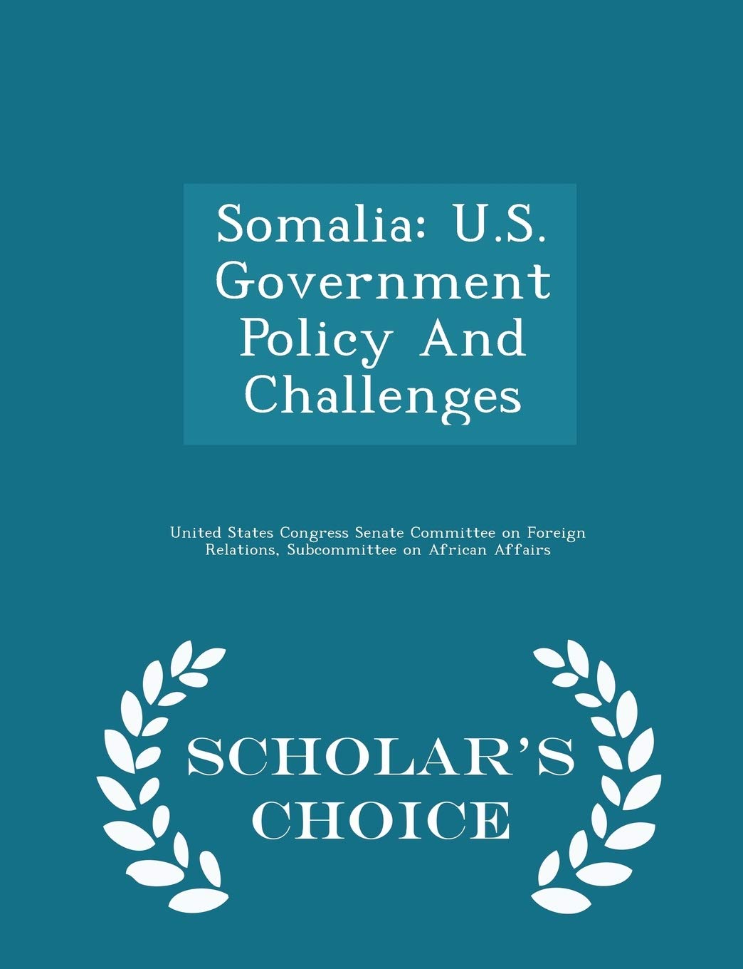 Somalia Politics & History