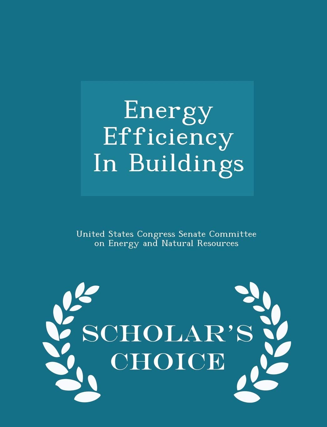 Energy Efficiency in Buildings - Scholar's Choice Edition Politics & History