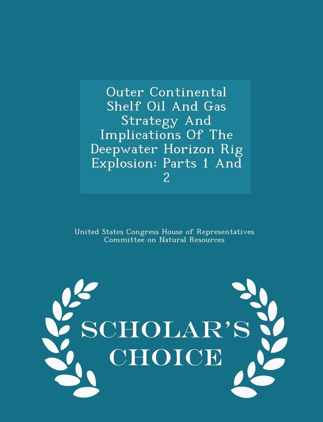 Outer Continental Shelf Oil and Gas Strategy and Implications of the Deepwater Horizon Rig Explosion Politics & History