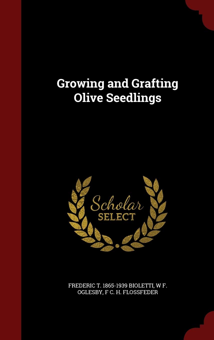 Growing and Grafting Olive Seedlings Politics & History