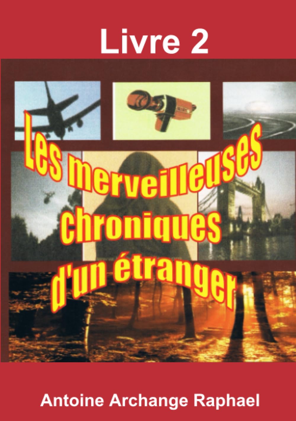 Les merveilleuses chroniques d'un étranger, Livre 2 book