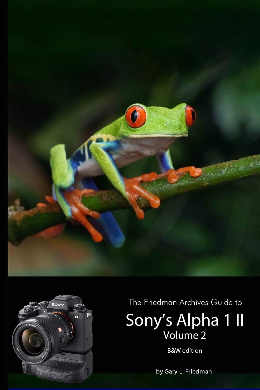 The Friedman Archives Guide to Sony's A1 II - Volume 2 (B&W Edition) Hobbies & Crafts